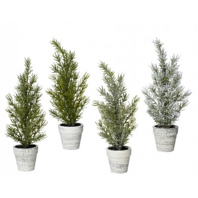 Mini tree assorted  indoor  