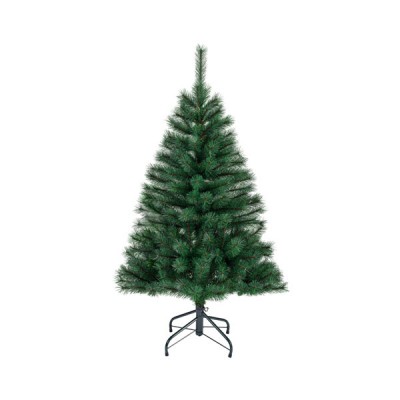 Canada spruce 150cm 