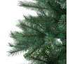 Canada spruce 150cm 