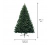 Canada spruce 180cm 