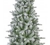 Killington fir frosted 180cm 