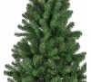 Monarch pine 150cm Monarch pine 150cm