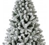 Monarch pine snowy 210cm 