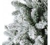 Monarch pine snowy 210cm 
