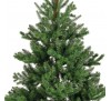Alba fir 180cm 