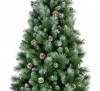 Norwich pine frosted 240cm 