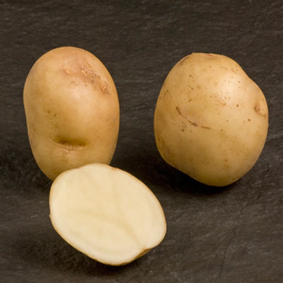 Foremost First Early Seed Potatoes 2kg Pack Foremost First Early Seed Potatoes 2kg Pack