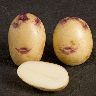Kestrel Second Early Seed Potatoes 2kg Pack