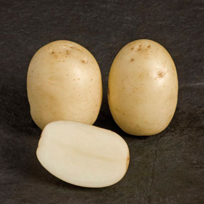 Nadine Second Early Seed Potatoes 2kg Pack Nadine Second Early Seed Potatoes 2kg Pack