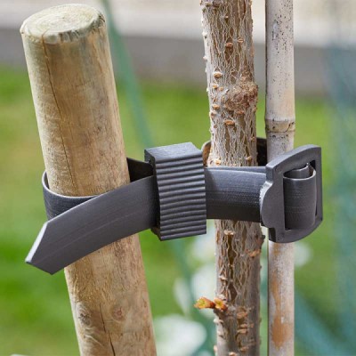 Buckle Tree Ties 2-PK